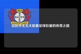 拉杜乔尤五大联赛足球巨星的传奇之路