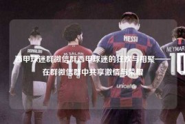 西甲球迷群微信群西甲球迷的狂欢与相聚——在群微信群中共享激情与荣耀