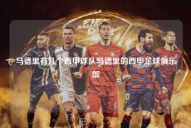 马德里有几个西甲球队马德里的西甲足球俱乐部