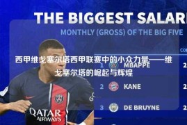 西甲维戈塞尔塔西甲联赛中的小众力量——维戈塞尔塔的崛起与辉煌