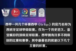 西甲一共几个杯赛西甲（La Liga）的官方名称为西班牙足球甲级联赛。作为一个历史悠久、备受瞩目的顶级足球联赛，西甲拥有许多不同级别的比赛和赛事，其中最著名的就是以下几个主要的杯赛。