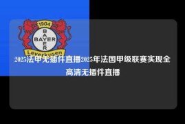 2025法甲无插件直播2025年法国甲级联赛实现全高清无插件直播