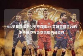2025英超直播平台免费直播2025英超直播平台的未来展望与免费直播的可能性