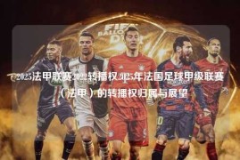 2025法甲联赛2022转播权2025年法国足球甲级联赛（法甲）的转播权归属与展望