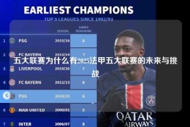 五大联赛为什么有2025法甲五大联赛的未来与挑战