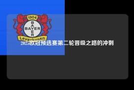 2025欧冠预选赛第二轮晋级之路的冲刺