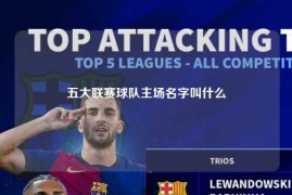 五大联赛球队主场名字叫什么
