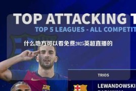 什么地方可以看免费2025英超直播的