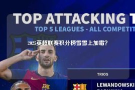 2025英超联赛积分榜雪雪上加霜？
