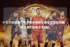 五大联赛哪个水平最高阿根廷国家足球队的崛起与五大联赛水平对比