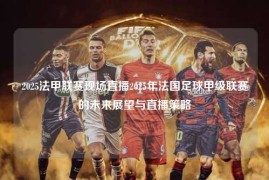 2025法甲联赛现场直播2025年法国足球甲级联赛的未来展望与直播策略