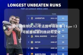 2025法甲降级球队2025年法国甲级联赛（Ligue 1）可能面临新的挑战和变化