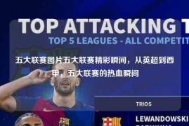 五大联赛图片五大联赛精彩瞬间，从英超到西甲，五大联赛的热血瞬间