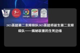 2025英超第二支降级队2025英超将诞生第二支降级队——揭秘联赛的生死边缘