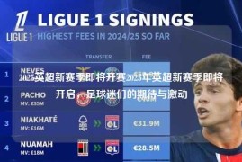 2025英超新赛季即将开赛2025年英超新赛季即将开启，足球迷们的期待与激动