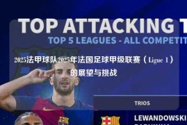 2025法甲球队2025年法国足球甲级联赛（Ligue 1）的展望与挑战