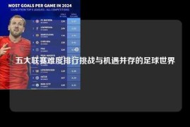 五大联赛难度排行挑战与机遇并存的足球世界