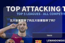 五大联赛暂停了吗五大联赛暂停了吗？