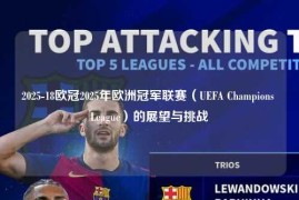 2025-18欧冠2025年欧洲冠军联赛（UEFA Champions League）的展望与挑战