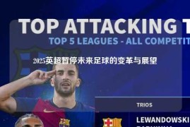 2025英超暂停未来足球的变革与展望