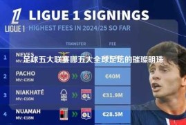 足球五大联赛哪五大全球足坛的璀璨明珠