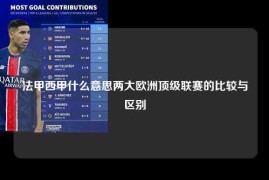 法甲西甲什么意思两大欧洲顶级联赛的比较与区别