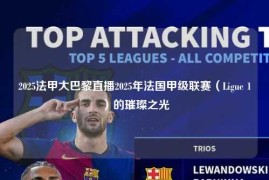 2025法甲大巴黎直播2025年法国甲级联赛（Ligue 1）的璀璨之光