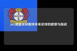 2025英超买球看球未来足球的愿景与挑战