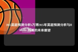 2025英超预测分析h万博2025年英超预测分析与H万博的未来展望