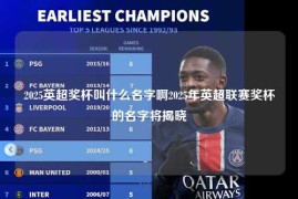 2025英超奖杯叫什么名字啊2025年英超联赛奖杯的名字将揭晓