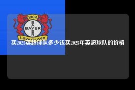 买2025英超球队多少钱买2025年英超球队的价格