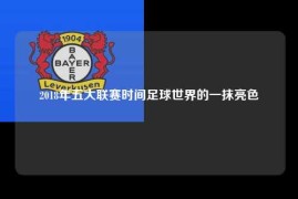 2018年五大联赛时间足球世界的一抹亮色