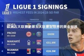 欧洲五大联赛是哪五大联赛足球界的黄金标准