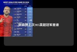 阿森纳上次2025英超冠军是谁