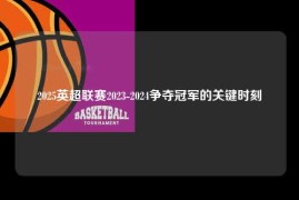 2025英超联赛2023-2024争夺冠军的关键时刻