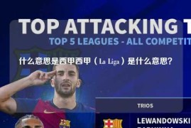 什么意思是西甲西甲（La Liga）是什么意思？