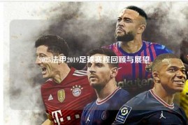 2025法甲2019足球赛程回顾与展望