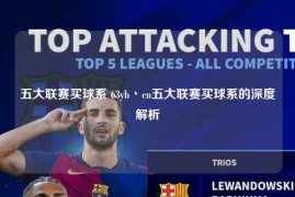 五大联赛买球系 63yb丶cn五大联赛买球系的深度解析