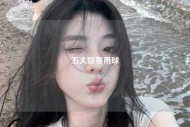 五大联赛用球