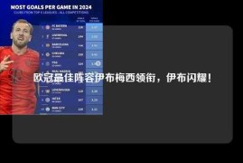 欧冠最佳阵容伊布梅西领衔，伊布闪耀！