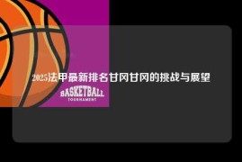 2025法甲最新排名甘冈甘冈的挑战与展望