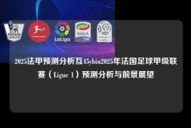 2025法甲预测分析互45ybin2025年法国足球甲级联赛（Ligue 1）预测分析与前景展望