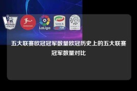 五大联赛欧冠冠军数量欧冠历史上的五大联赛冠军数量对比