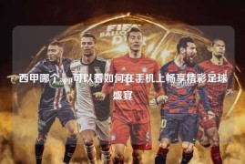 西甲哪个app可以看如何在手机上畅享精彩足球盛宴