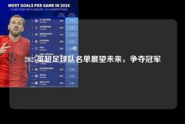 2025英超足球队名单展望未来，争夺冠军