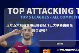 足球五大联赛直播在哪看足球五大联赛直播在哪里观看？