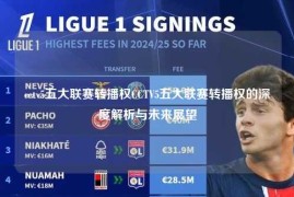 cctv5五大联赛转播权CCTV5五大联赛转播权的深度解析与未来展望