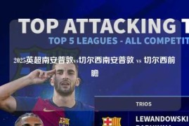 2025英超南安普敦vs切尔西南安普敦 vs 切尔西前瞻