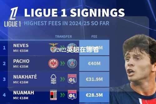 2022英超在哪看第1张-五大联赛直播-五大联赛赛程时间表-五大联赛排名积分榜