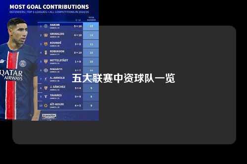 五大联赛中资球队一览第1张-五大联赛直播-五大联赛赛程时间表-五大联赛排名积分榜